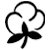 Cotton