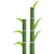 Sugarcane